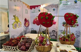 Việt Nam tham gia Fruit Logistica 2025 tại Đức với quy mô lớn nhất từ trước đến nay