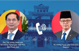 Đẩy mạnh hợp tác, đưa quan hệ Việt Nam - Indonesia lên tầm cao mới