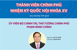 Thành viên Chính phủ nhiệm kỳ Quốc hội khóa XV (sau sắp xếp, tinh gọn)