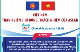 Việt Nam là thành viên chủ động, trách nhiệm của ASEAN