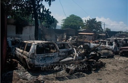 Chính phủ Haiti lên án vụ đốt phá trụ sở đài truyền hình lớn nhất cả nước