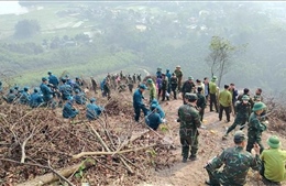 Tuyên Quang: Yêu cầu triển khai các biện pháp cấp bách sau 2 vụ cháy rừng nghiêm trọng