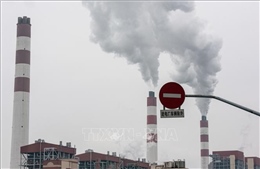 IEA: Lượng phát thải CO2 năm 2024 đạt mức kỷ lục