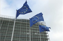 Chính sách thuế của Mỹ: EU cảnh báo đáp trả mạnh mẽ