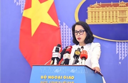 Mức thuế đối ứng của Hoa Kỳ chưa phù hợp với thực tế hợp tác giữa hai nước