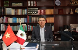 50 năm quan hệ Việt Nam - Mexico: Còn nhiều dư địa phát triển