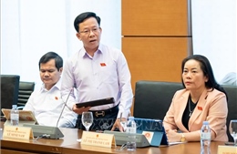 Kỳ họp thứ 9, Quốc hội khóa XV: Nhiều đại biểu đồng tình giảm thuế VAT với tất cả hàng hóa