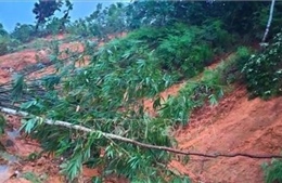 Hà Giang: Mưa lớn gây sạt lở nghiêm trọng, nhiều tuyến đường bị chia cắt cục bộ