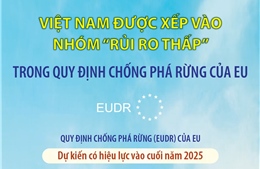 Việt Nam được xếp vào nhóm “rủi ro thấp” trong Quy định chống phá rừng của EU