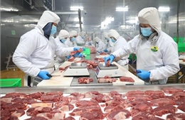 Rút ngắn khoảng cách giữa nhà sản xuất và người tiêu dùng sản phẩm nông sản