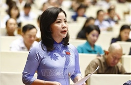 Kỳ họp thứ 9, Quốc hội khoá XV: Cân nhắc bỏ hình phạt tử hình với tội vận chuyển trái phép chất ma tuý
