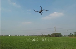 Bớt cảnh &#39;được mùa, mất giá&#39; nhờ chuyển đổi số trong nông nghiệp