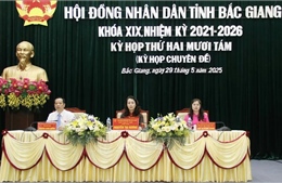 Thông qua nghị quyết về đồ án quy hoạch xây dựng 2 khu công nghiệp ở Bắc Giang