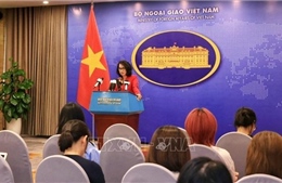 Việt Nam hoan nghênh ASEAN và Trung Quốc hoàn tất đàm phán nâng cấp Hiệp định thương mại tự do ASEAN - Trung Quốc