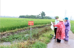 Hoàn thành thu hồi đất cho dự án Khu đô thị sinh thái Chí Linh