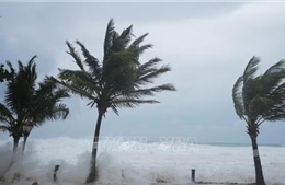 Chuyên gia cảnh báo mùa bão cực kỳ nguy hiểm tại Caribe và Đại Tây Dương
