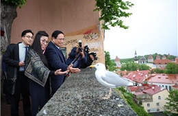 Thủ tướng và Phu nhân tham quan khu phố cổ Tallinn của Estonia