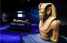 Ai Cập phát hiện di tích khảo cổ thời Pharaoh