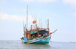 Khắc phục &#39;thẻ vàng&#39; IUU: Nhiều giải pháp quản lý, giám sát tàu cá hiệu quả