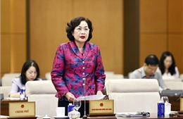 Ngân hàng Nhà nước sẽ tiếp tục rà soát các quy định về xử lý khoản vay đặc biệt
