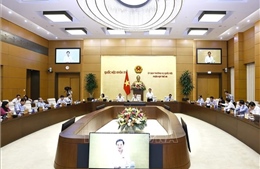 Hoàn thiện dự thảo Luật sửa đổi, bổ sung một số điều của Bộ luật Hình sự