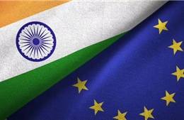 EU, Ấn Độ hướng tới quan hệ đối tác an ninh toàn diện