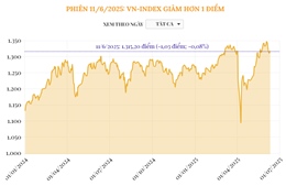 Phiên 11/6/2025: VN-Index giảm hơn 1 điểm