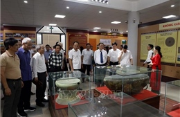 Đánh thức tiềm năng giá trị di sản văn hóa &#39;Tinh hoa cổ vật Hà Nam&#39;