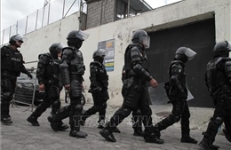 Ecuador: Bắt giữ thêm một thủ lĩnh nhóm tội phạm khét tiếng