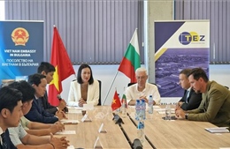 Tăng cường kết nối doanh nghiệp Việt Nam - Bulgaria