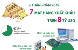 6 tháng năm 2025: 7 mặt hàng xuất khẩu trên 8 tỷ USD