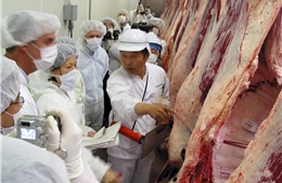 Nhật Bản chuẩn bị nối lại xuất khẩu thịt bò sang Trung Quốc sau 24 năm