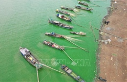 Nước hồ Trị An đổi màu do tảo xanh lan rộng