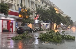 Hưng Yên: Cây xanh, biển hiệu quảng cáo bị gẫy, đổ do mưa lớn