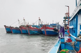 Ứng phó bão số 3: Nghệ An kiểm soát chặt chẽ phương tiện ra khơi