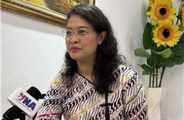 30 năm Việt Nam gia nhập ASEAN: Việt Nam củng cố vị thế, lan tỏa ảnh hưởng trong ASEAN