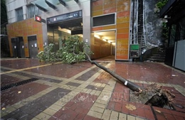 Hong Kong, Macau (Trung Quốc) dỡ bỏ cảnh báo bão Wipha