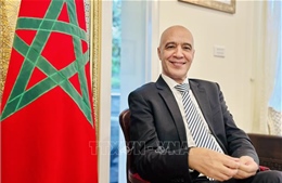 Củng cố và mở rộng quan hệ đối tác giữa hai nước Việt Nam - Maroc