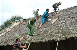 Chỉ đạo của Ban Bí thư về việc ứng phó với cơn bão số 3 (Wipha)