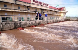 Bắc Bộ và Bắc Trung Bộ còn gần 58.000 ha cây trồng cần tiêu úng