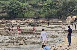 Tăng cường bảo vệ rạn san hô tại Hòn Chồng (Nha Trang)