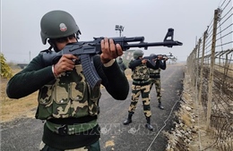 Ấn Độ tiêu diệt 3 phần tử tham gia cuộc tấn công Kashmir