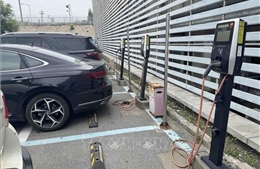 Chuyển đổi sang xe điện: Kinh nghiệm từ Trung Quốc