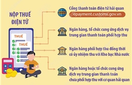 Phương thức nộp thuế điện tử từ 7/8/2025