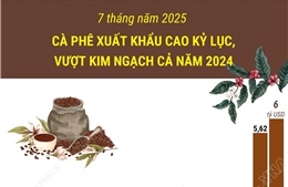7 tháng năm 2025, cà phê xuất khẩu cao kỷ lục, vượt kim ngạch cả năm 2024