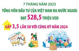 7 tháng năm 2025: Đầu tư của Việt Nam ra nước ngoài đạt 528,5 triệu USD
