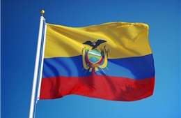 Điện mừng Quốc khánh Cộng hòa Ecuador