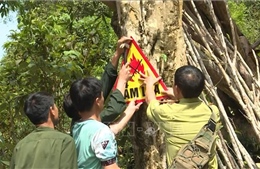 Nhiều điểm du lịch nằm giáp ranh khu vực có nguy cơ cháy rừng cao