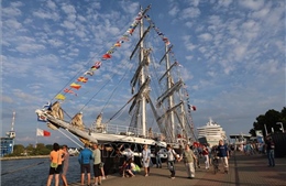 Sức hút của Lễ hội Thuyền buồm Hanse Sail 2025