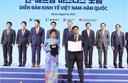 Tổng Bí thư Tô Lâm và Thủ tướng Hàn Quốc chứng kiến Lễ trao các thỏa thuận hợp tác